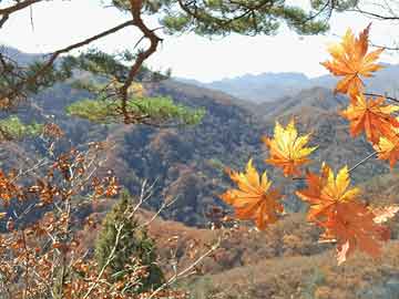 Alpenglow：Solana的新共识
